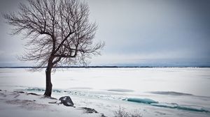 Preview wallpaper tree, lake, snow, ice, winter