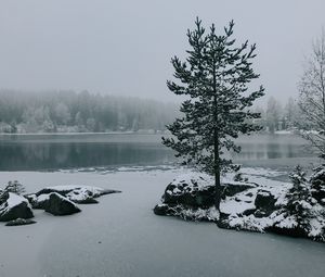 Preview wallpaper tree, lake, snow, winter, landscape