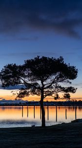 Preview wallpaper tree, lake, sunset, dark