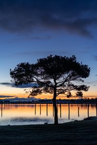 Preview wallpaper tree, lake, sunset, dark