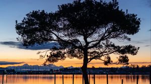 Preview wallpaper tree, lake, sunset, dark