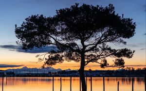 Preview wallpaper tree, lake, sunset, dark