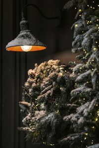 Preview wallpaper tree, lamp, garland, snow, winter
