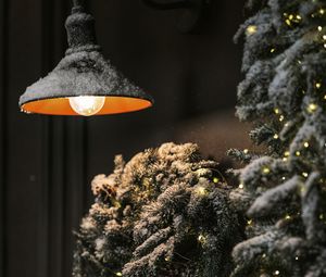 Preview wallpaper tree, lamp, garland, snow, winter