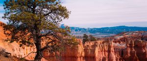 Preview wallpaper tree, landscape, nature, canyon