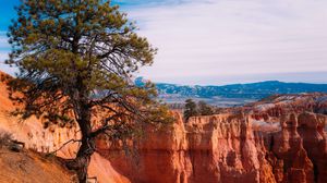 Preview wallpaper tree, landscape, nature, canyon