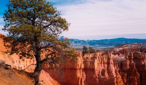 Preview wallpaper tree, landscape, nature, canyon