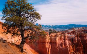 Preview wallpaper tree, landscape, nature, canyon