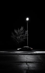 Preview wallpaper tree, lantern, car, speed, blur, bw