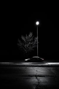 Preview wallpaper tree, lantern, car, speed, blur, bw