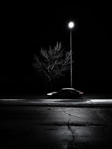Preview wallpaper tree, lantern, car, speed, blur, bw