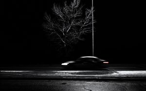Preview wallpaper tree, lantern, car, speed, blur, bw
