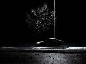 Preview wallpaper tree, lantern, car, speed, blur, bw