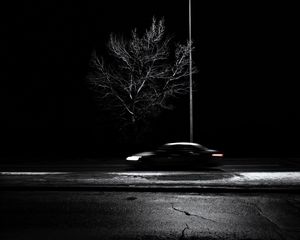 Preview wallpaper tree, lantern, car, speed, blur, bw