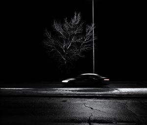 Preview wallpaper tree, lantern, car, speed, blur, bw