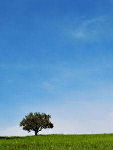 Preview wallpaper tree, lawn, landscape, minimalism