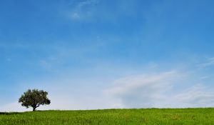 Preview wallpaper tree, lawn, landscape, minimalism