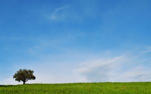 Preview wallpaper tree, lawn, landscape, minimalism