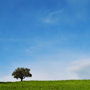 Preview wallpaper tree, lawn, landscape, minimalism