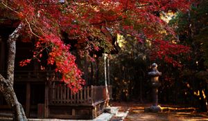 Preview wallpaper tree, leaves, autumn, house