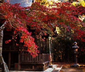 Preview wallpaper tree, leaves, autumn, house