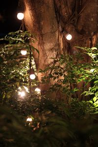 Preview wallpaper tree, leaves, garland, glow