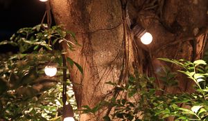 Preview wallpaper tree, leaves, garland, glow