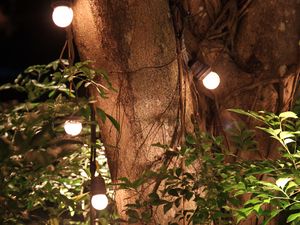 Preview wallpaper tree, leaves, garland, glow