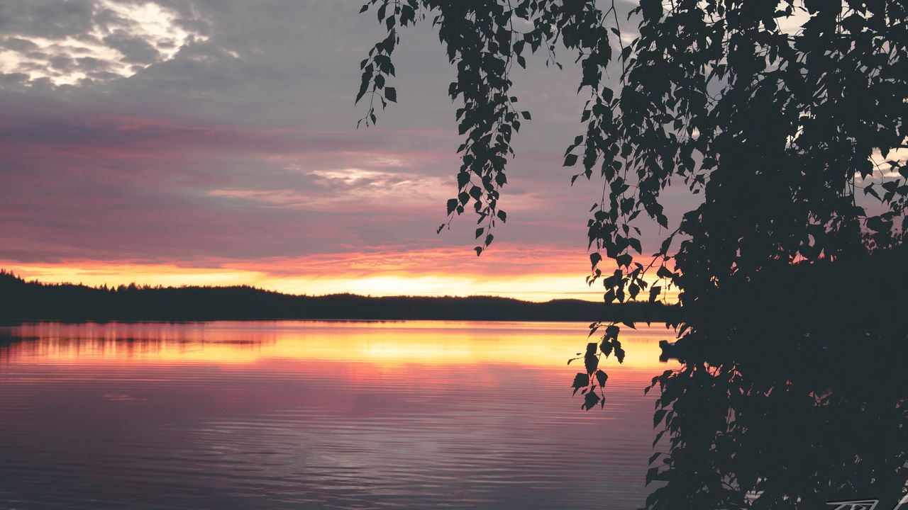 Wallpaper tree, leaves, silhouettes, lake, sunset, dark