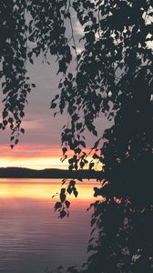 Preview wallpaper tree, leaves, silhouettes, lake, sunset, dark