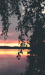 Preview wallpaper tree, leaves, silhouettes, lake, sunset, dark