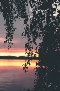 Preview wallpaper tree, leaves, silhouettes, lake, sunset, dark