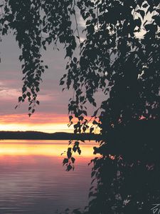 Preview wallpaper tree, leaves, silhouettes, lake, sunset, dark