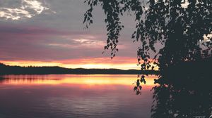 Preview wallpaper tree, leaves, silhouettes, lake, sunset, dark