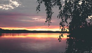 Preview wallpaper tree, leaves, silhouettes, lake, sunset, dark
