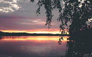 Preview wallpaper tree, leaves, silhouettes, lake, sunset, dark