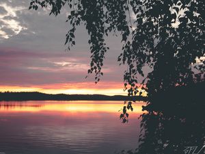 Preview wallpaper tree, leaves, silhouettes, lake, sunset, dark