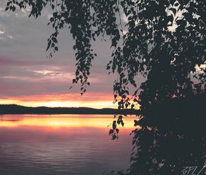 Preview wallpaper tree, leaves, silhouettes, lake, sunset, dark