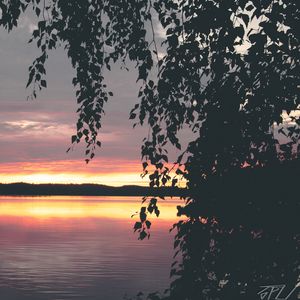 Preview wallpaper tree, leaves, silhouettes, lake, sunset, dark