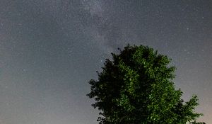 Preview wallpaper tree, leaves, stars, night, sky