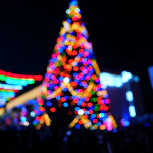 Preview wallpaper tree, lights, glare, colorful, blur