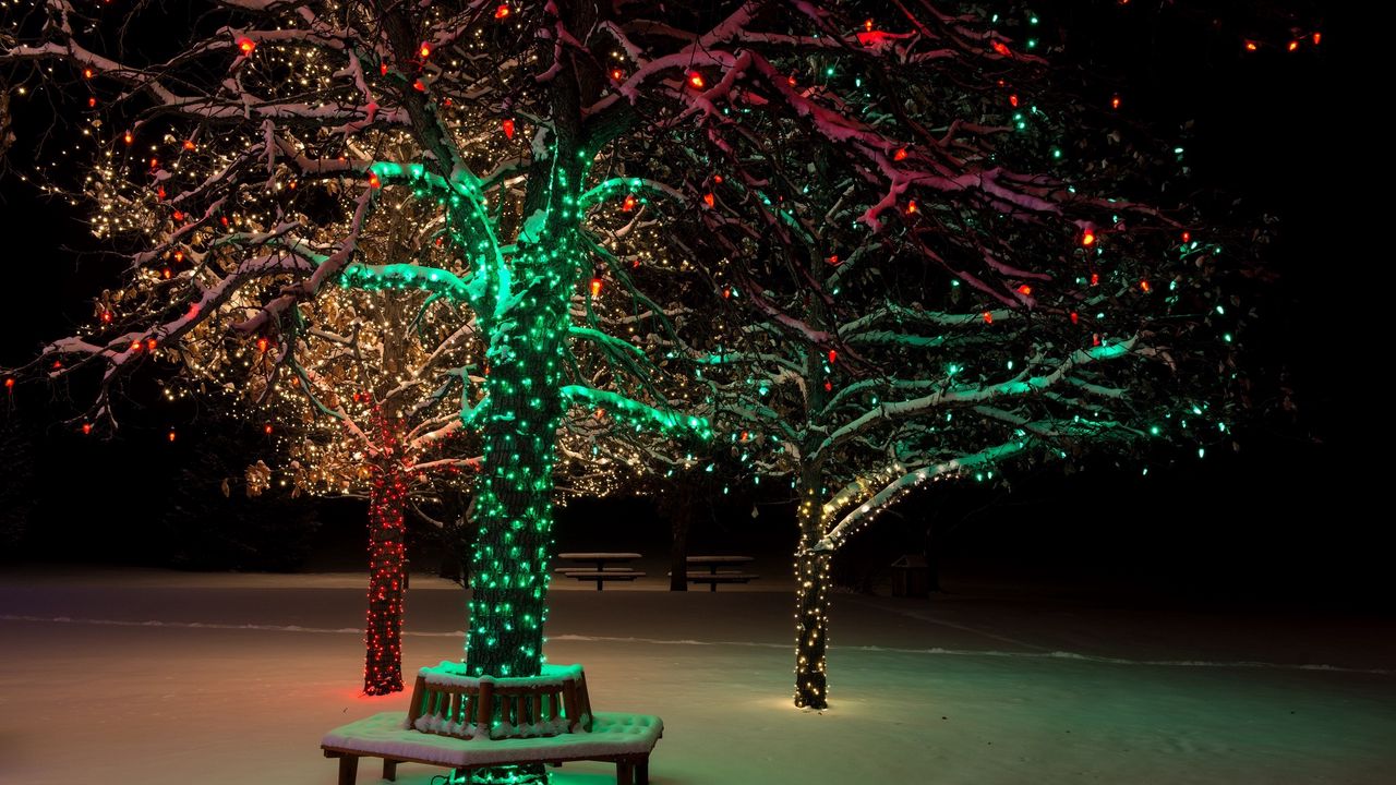 Wallpaper tree, lights, night, ornament, christmas