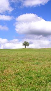 Preview wallpaper tree, lonely, field, meadow, greens, grass, clouds, sky