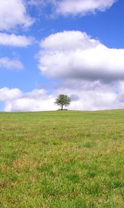 Preview wallpaper tree, lonely, field, meadow, greens, grass, clouds, sky
