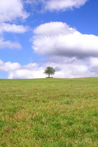 Preview wallpaper tree, lonely, field, meadow, greens, grass, clouds, sky