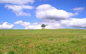 Preview wallpaper tree, lonely, field, meadow, greens, grass, clouds, sky