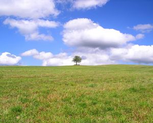 Preview wallpaper tree, lonely, field, meadow, greens, grass, clouds, sky