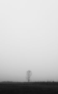 Preview wallpaper tree, lonely, fog, bw, field