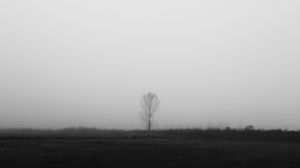 Preview wallpaper tree, lonely, fog, bw, field