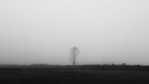 Preview wallpaper tree, lonely, fog, bw, field